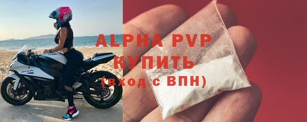 прущие грибы Каменск-Шахтинский