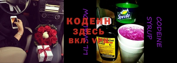 первитин Каменка