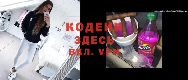 прущие грибы Каменск-Шахтинский