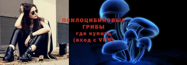 первитин Каменка
