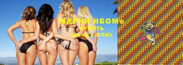 прущие грибы Каменск-Шахтинский