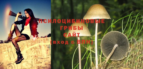 первитин Каменногорск