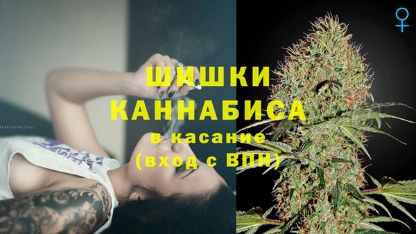 первитин Каменка