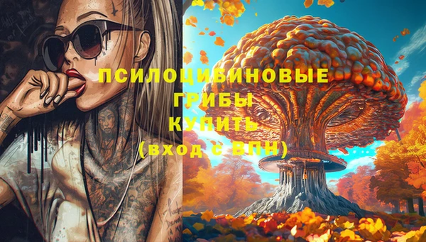 прущие грибы Каменск-Шахтинский
