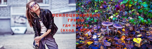 первитин Каменногорск