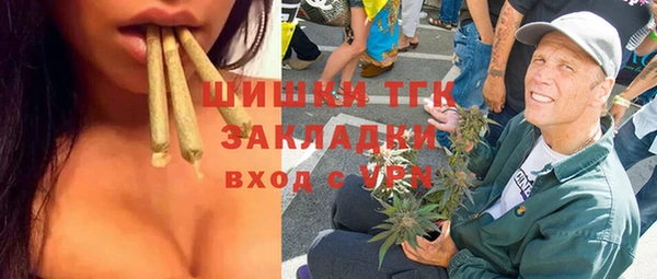 первитин Каменка